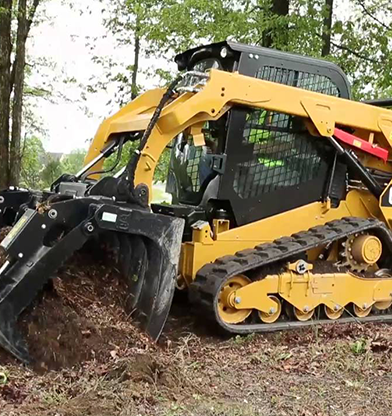 Worker cutting tall tree
